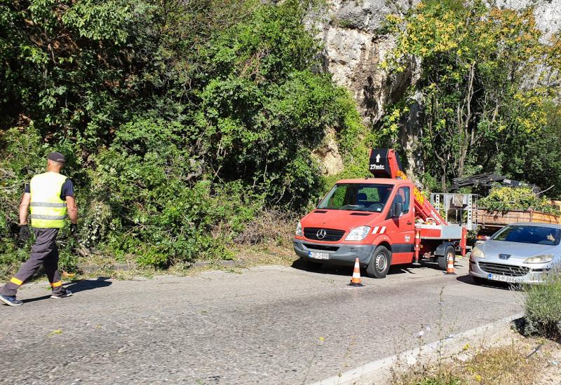 Mostar: ''Šiša'' se nabujala vegetacija uz prometnicu